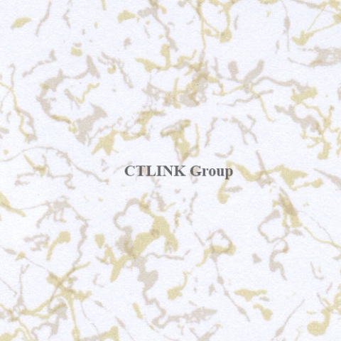 Sàn nâng kỹ thuật khuôn thép lõi xi măng mặt phủ HPL chống tĩnh điện Anti Static